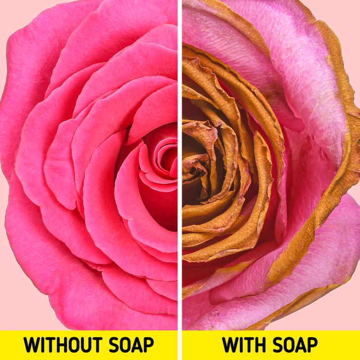 7812e751d5aed3a5e52c477b03