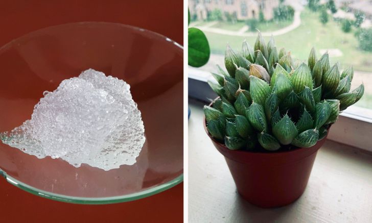 7815ec5aabaa25adc4e1a5d6f2