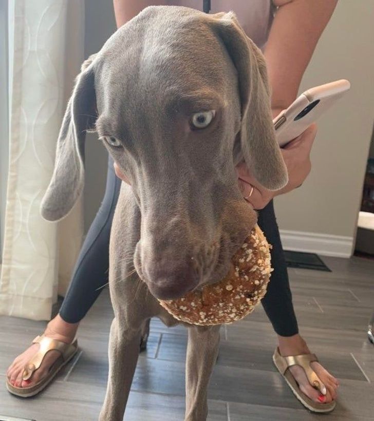 782eb35b2b9c7d611da0b1338a