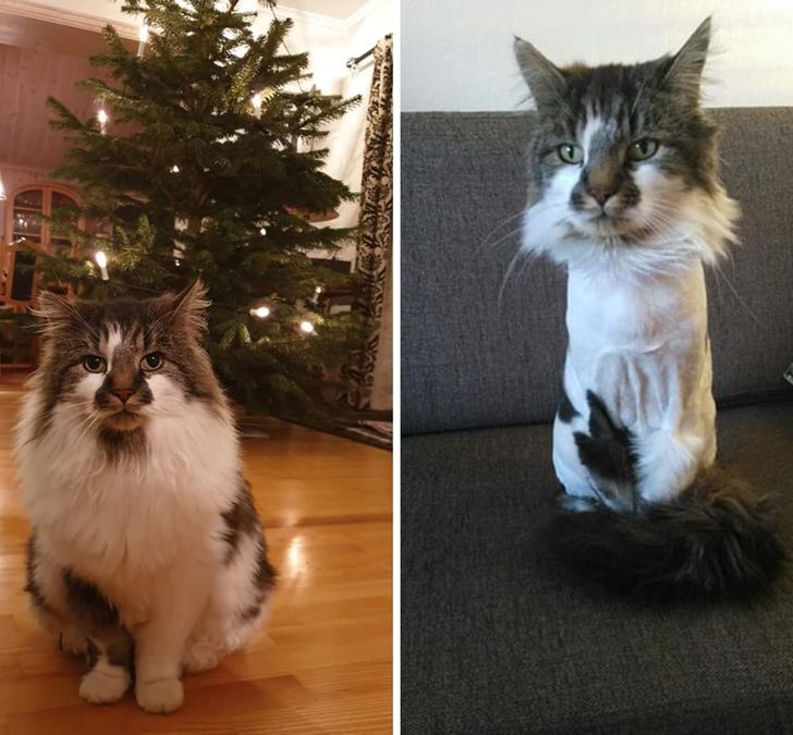 78313a57528557bb5539ee7343