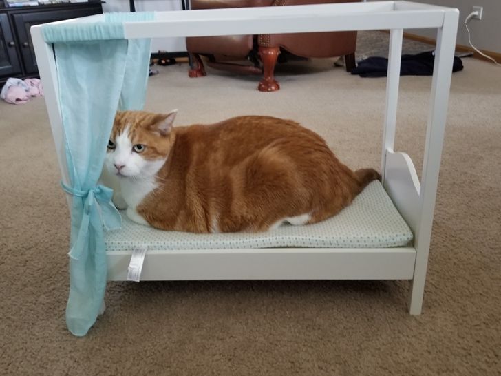 7837e3517b84d165ecc0e06a5b 7837e3517b84d165ecc0e06a5b