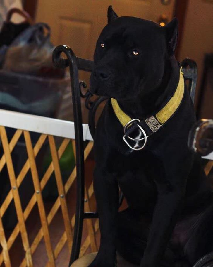 783d365baba1ac1fc4dcc6f610