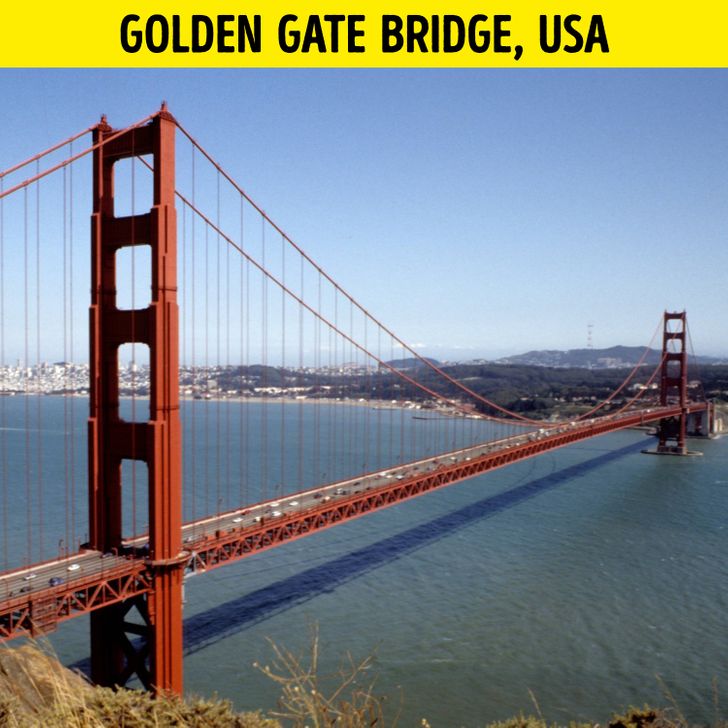 7843b952f3bbaf3a5074e3f996