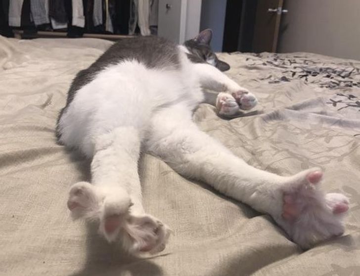 7847995ff5b0447e211fe7ee26