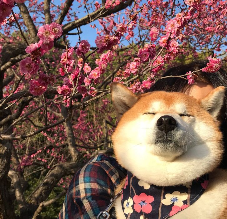 7850925f2a9c12b0825f88152d