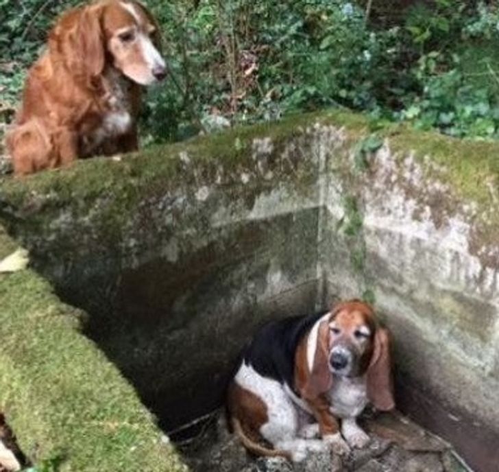 78540a54f2a2bd95fa66308380