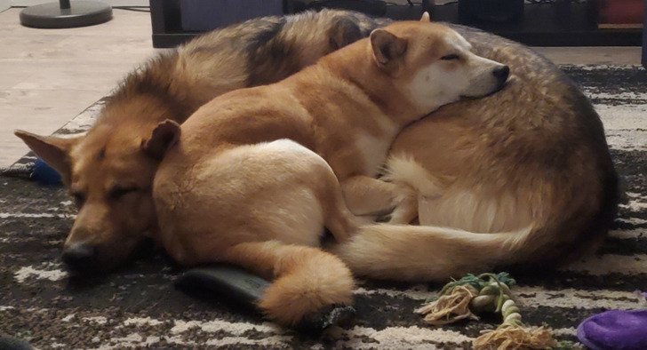 78597e537888104e314fb7a61f