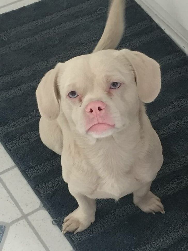 78636e532888bb21b2429299e3