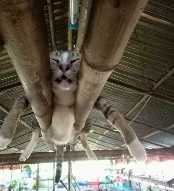 7864265bd6813bb34cafddf08c