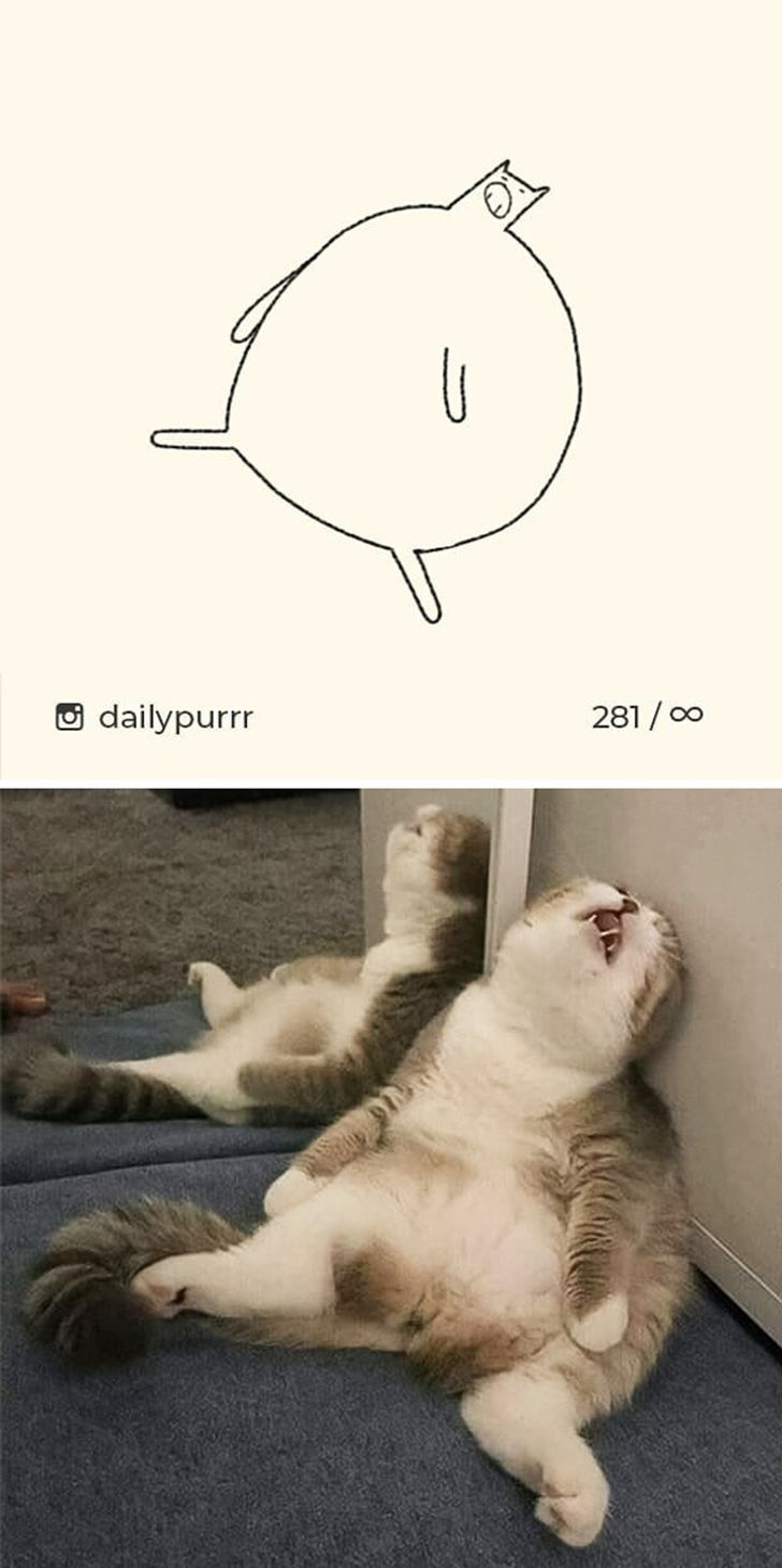 786e7f561f89e0f0fd95707cc3