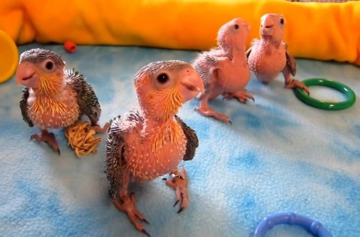 7876895578aded5d2a185acf75