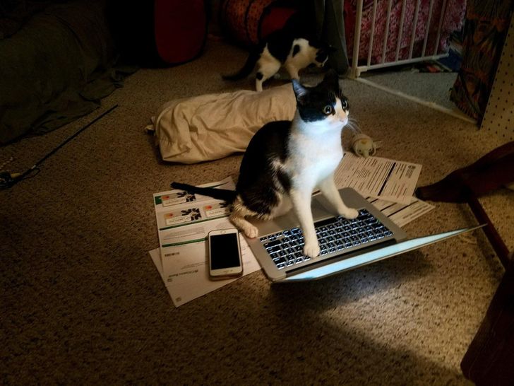 788447586d95d8c3f4f98b0051