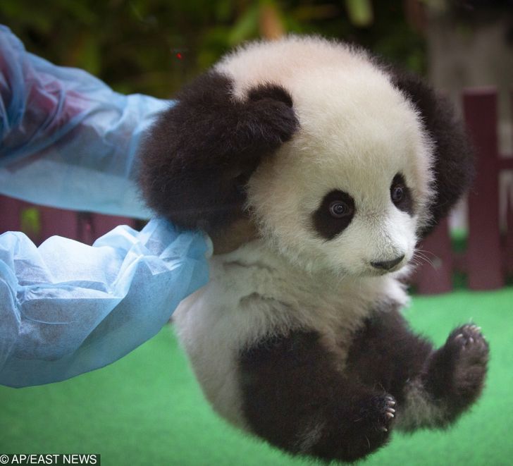 78878e5db48c0ab7e94ad1e915