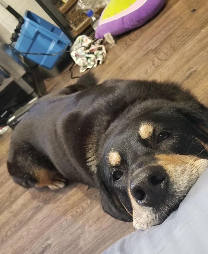 7887a55a8492f9abbfa615906a