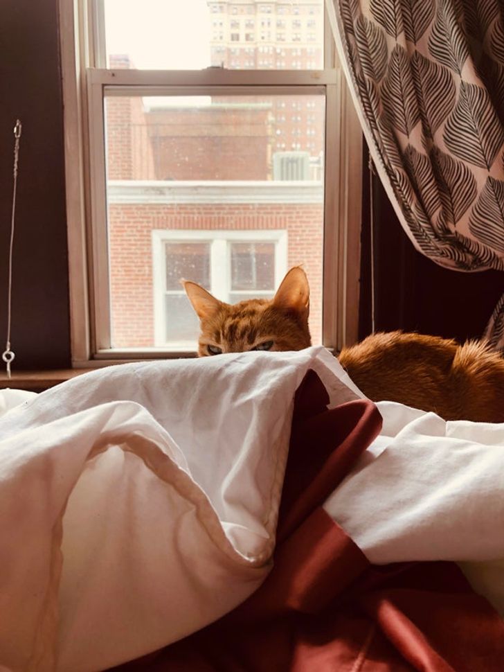 78885d5bdb968c771434ffdb43