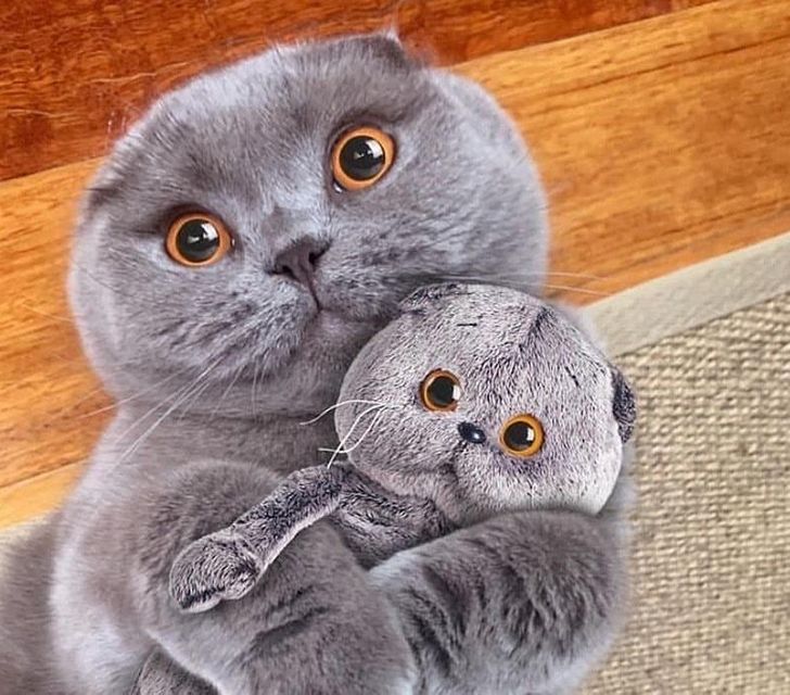 7890115972933ae722e391d4f9