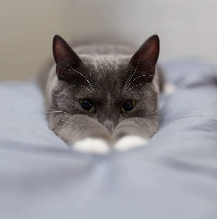 7890935d4c8b52c8c261ad3a10