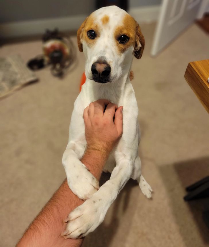 7890a05e38964fcdd316c2b961