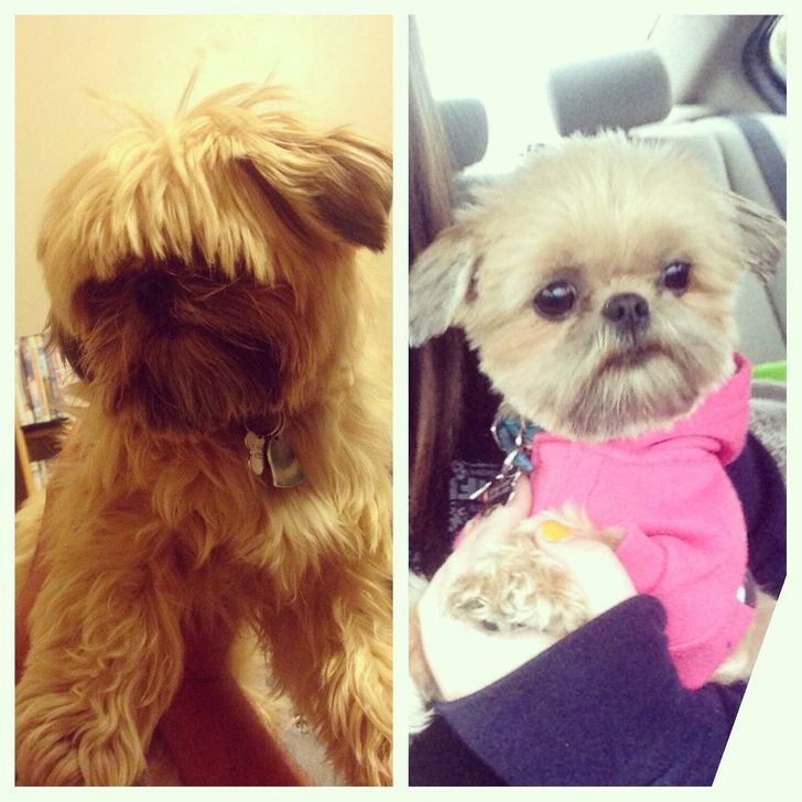 7891545685929409146624b8ac