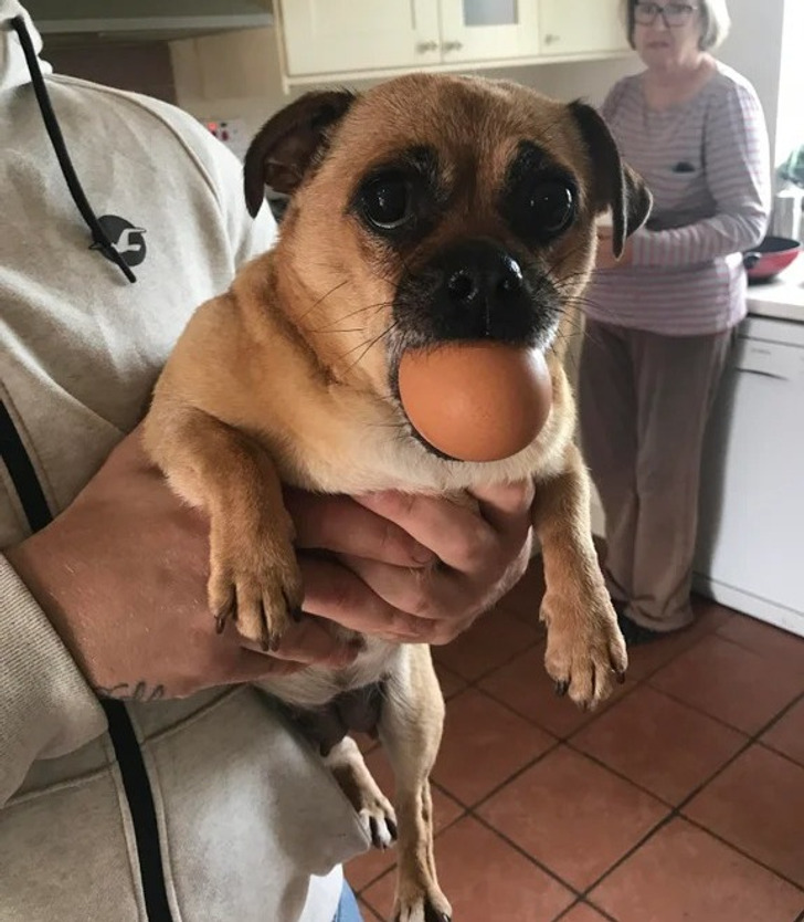 7891b55b97b7e50311661a6248