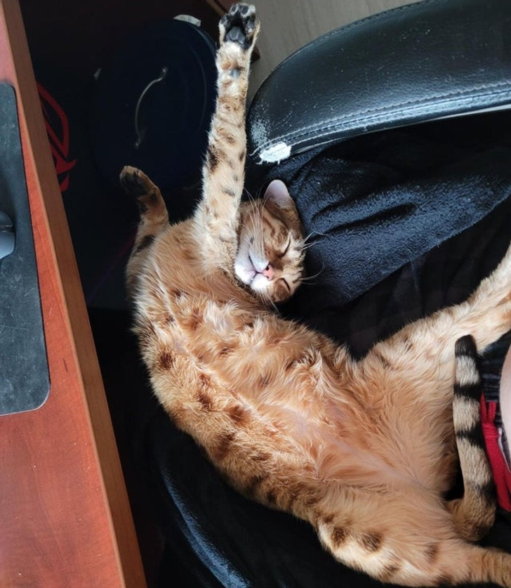 7898fa5279956f3c63c30d9b6b