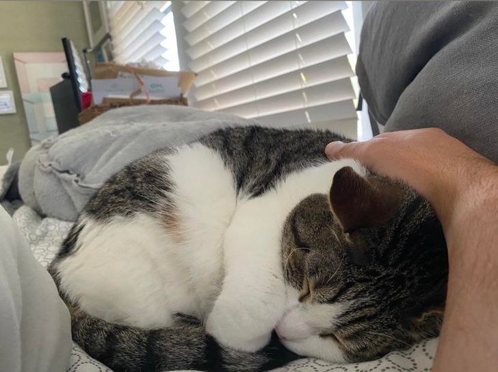 78a0dc5f90abcf8cc686037c42