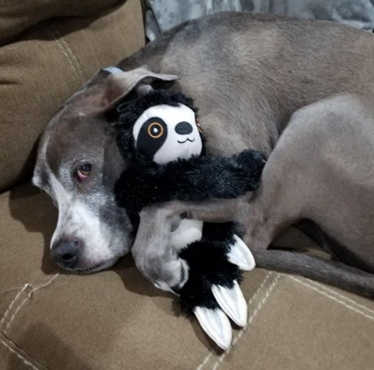 78a1d95a129e896d73dbf3b8b2