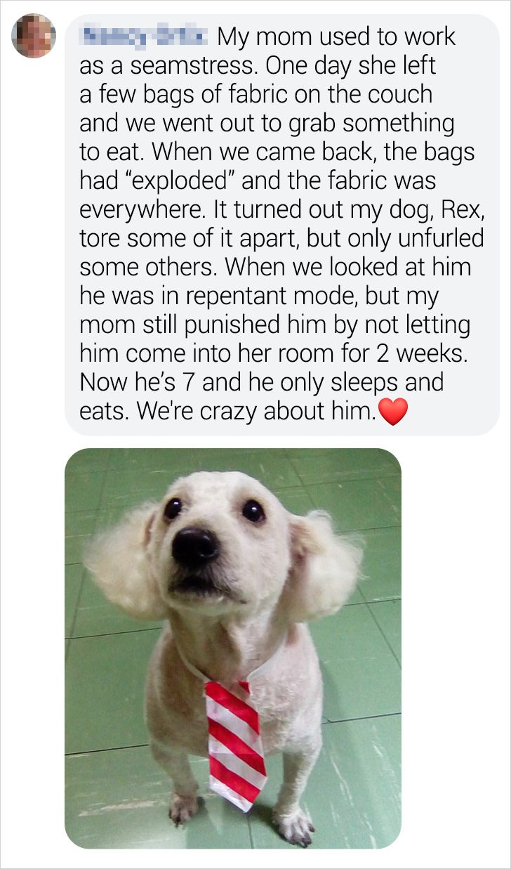 78a36c5cbcb0812598e2c44c60