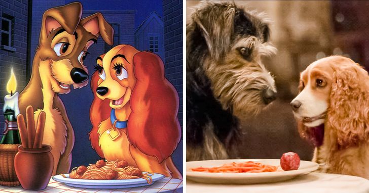 78ab435fc08c5c8491c5ac89b3