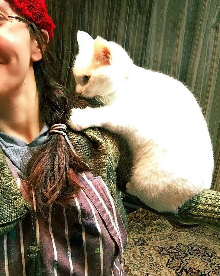 78b065520683915741658dd5df