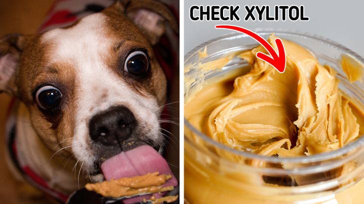 78bbd156618814b34c332df2f7