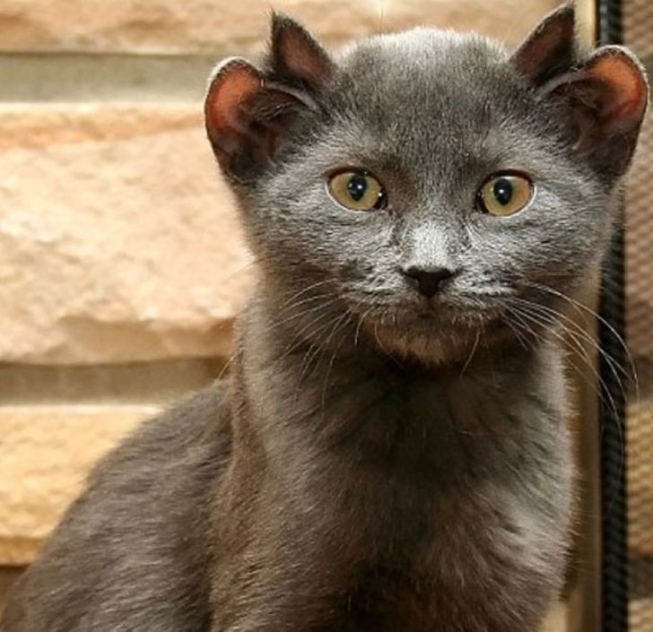 78c4495438b8a36295d5e6ba6f