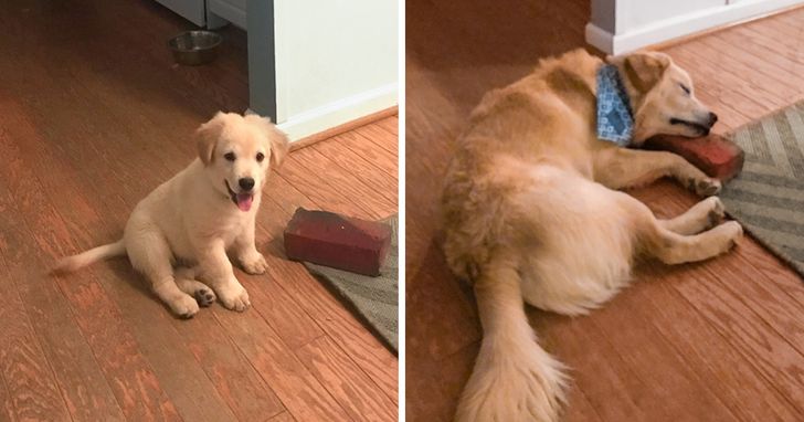 78cf9957e691f375b9e22cfa66