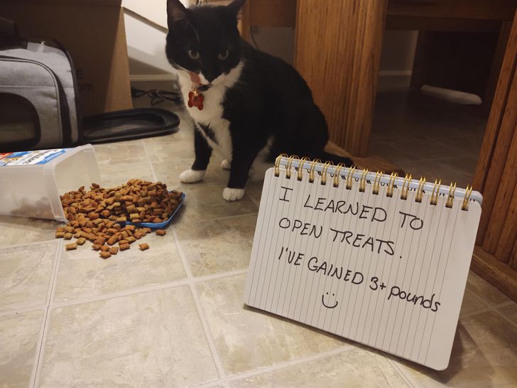 78d26f50a7a569cbf1e47e39c6