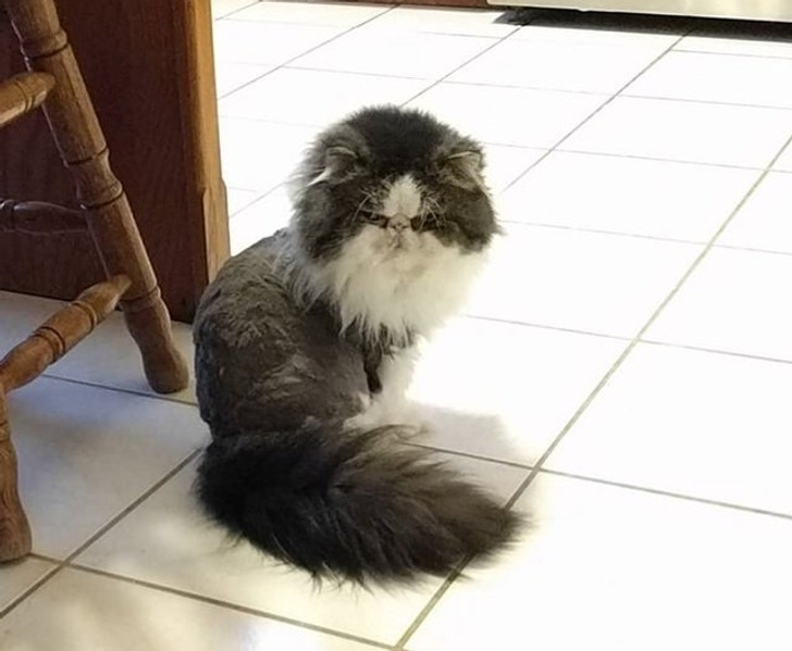 78d9325e78bc554c834b7daf26