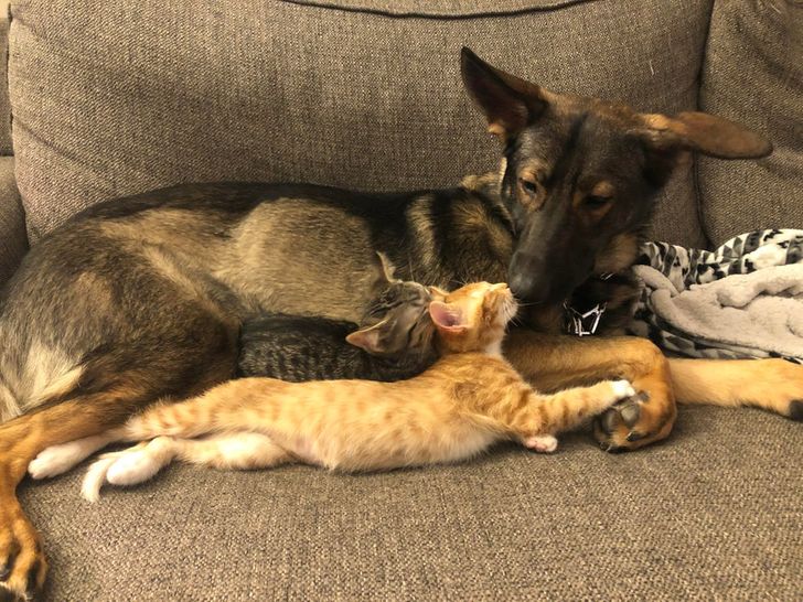 78d9e1516fbf77d226f19331f0