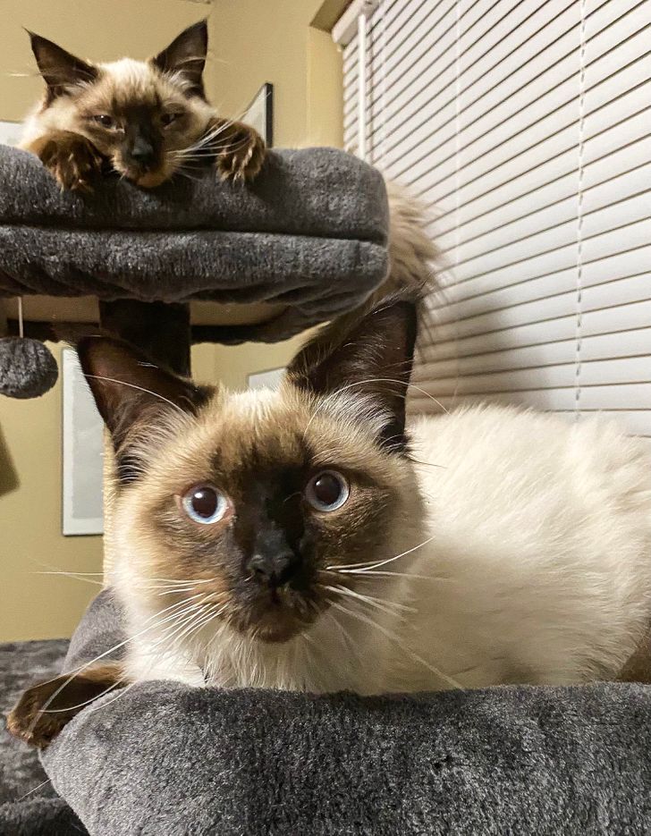 78dcc6580f8d7a356a18d4fa56 78dcc6580f8d7a356a18d4fa56