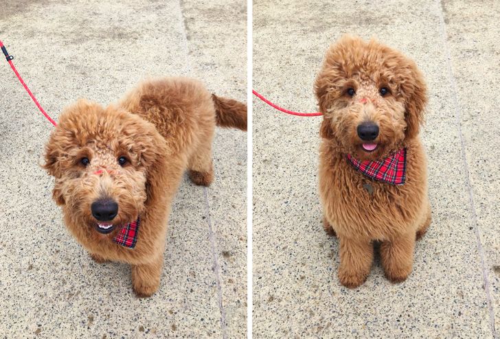 78e19e5c80a74acfcc3ee0d6e0