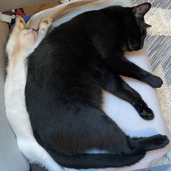 78e4935d16928a115433ca7f92