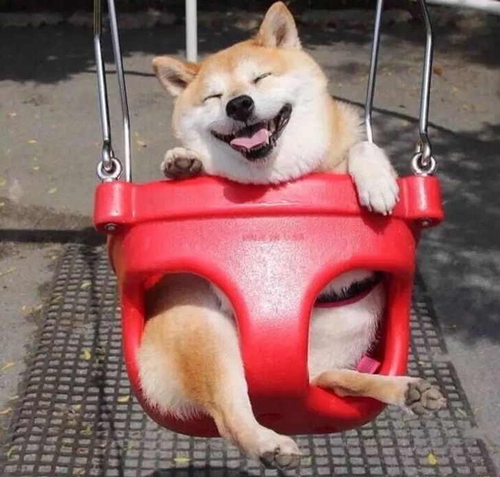 78e4a65d318beec8b24fee762f