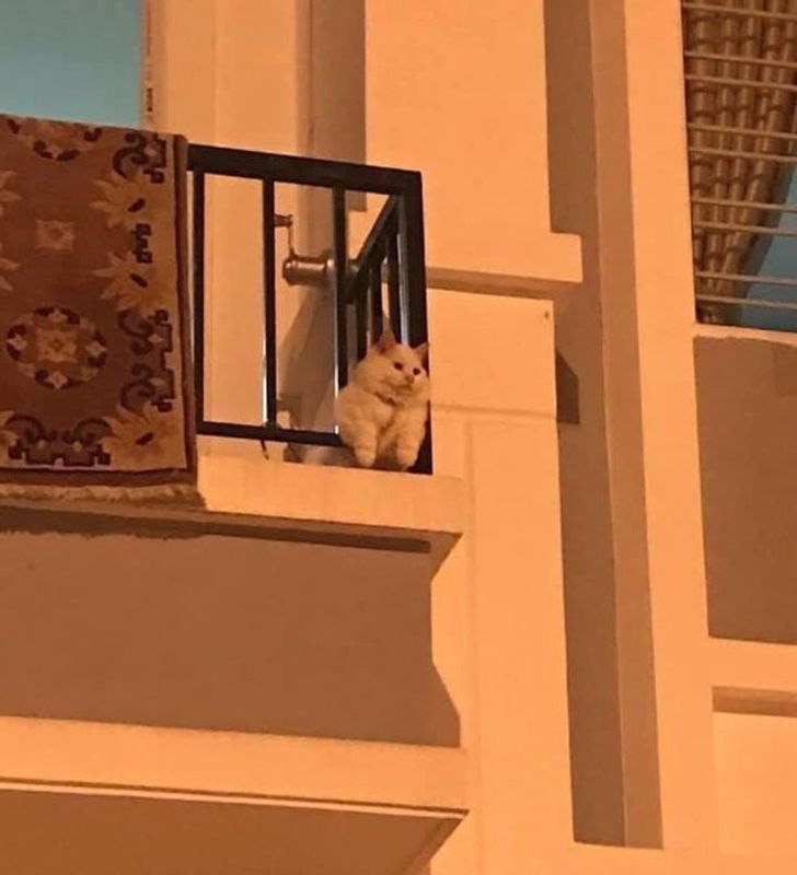 78e64c558fbe12bb70773e47c8