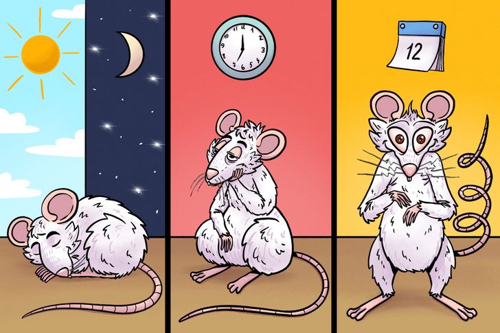 78e7ac58ce912cdddc2c384f57