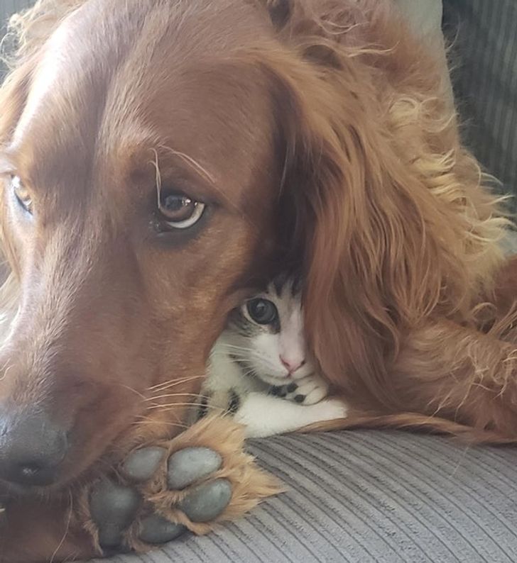 78eaa559a0ad354428f686efb9