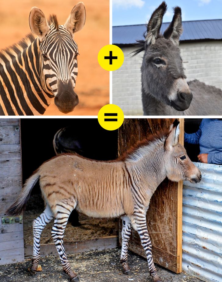 78ed595419ac028468a922f19d