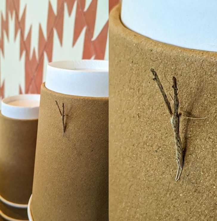 78f13f5f59a6555cfbf530b3fa