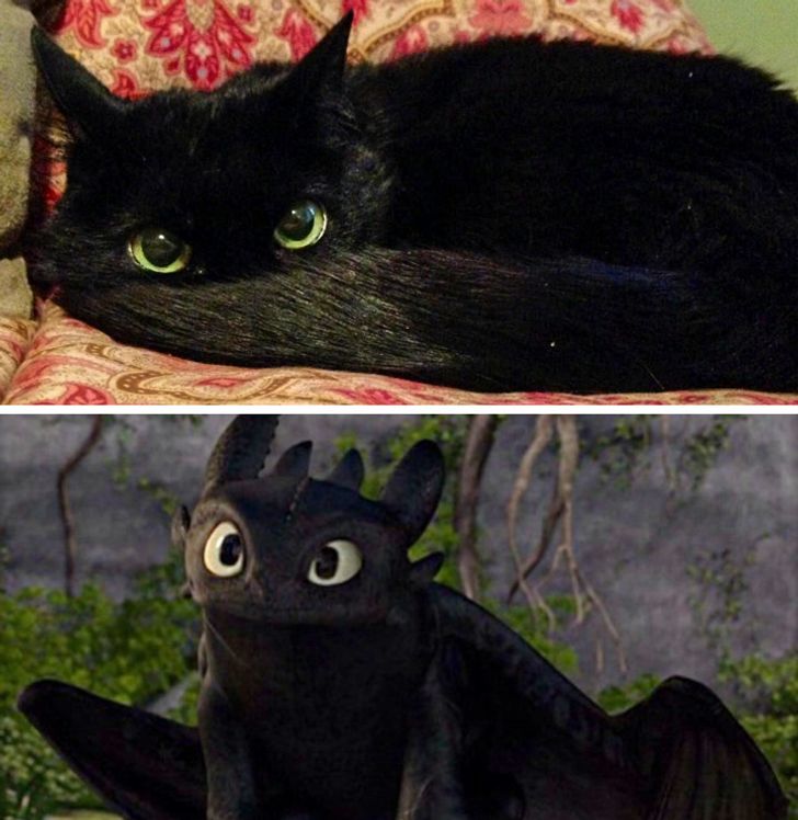 78f5af55aba52041e668265782