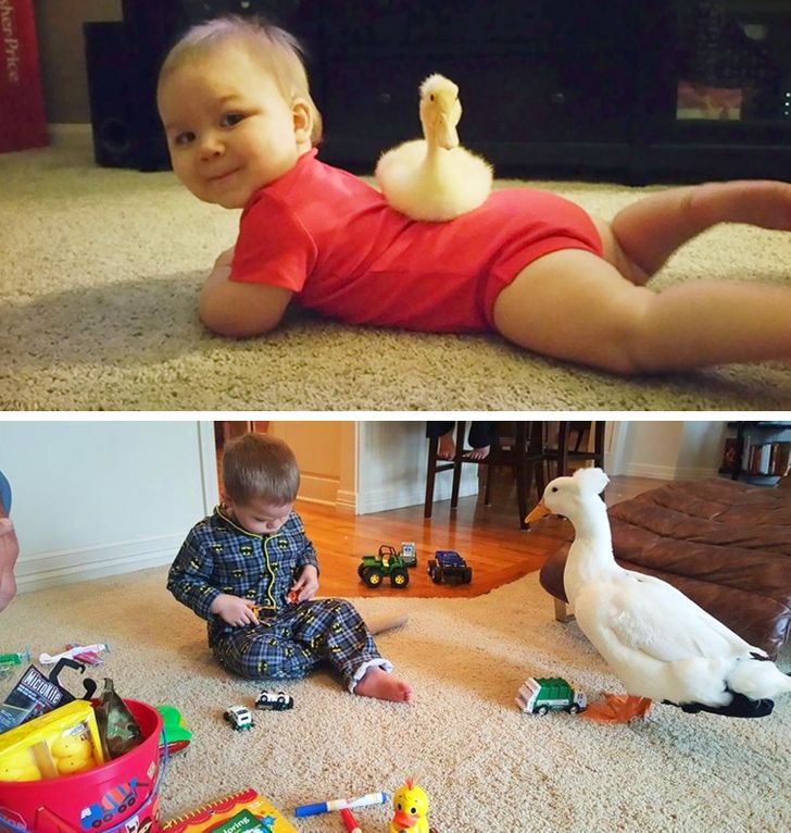 78f82d52abb79d0e3352e1ba68