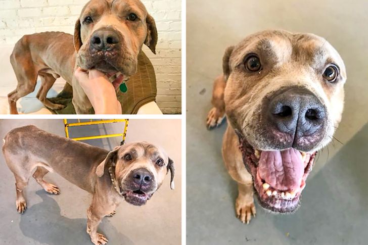 78fbea59aa9fda510eb7b06161