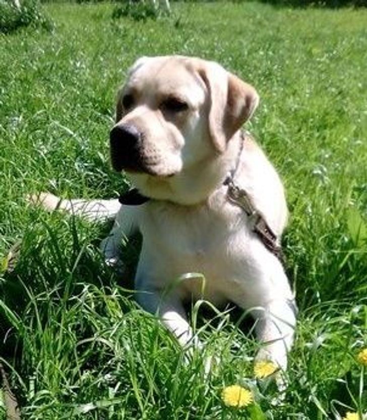 7904bd584ab990da7e09f30acf