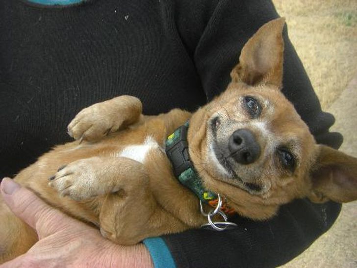 7908a150f9a1bd1a8915d5cf53